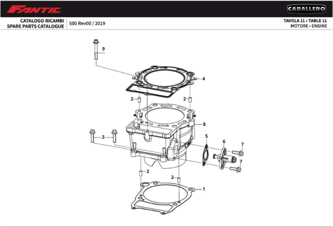 eY5sVaURKQ_11 - Moteur (CABALLERO 500 FLAT TRACK).png